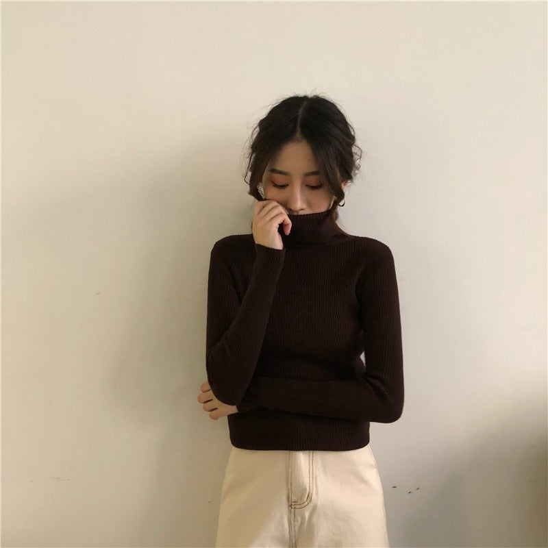 Elegant Turtleneck Women's Sweater