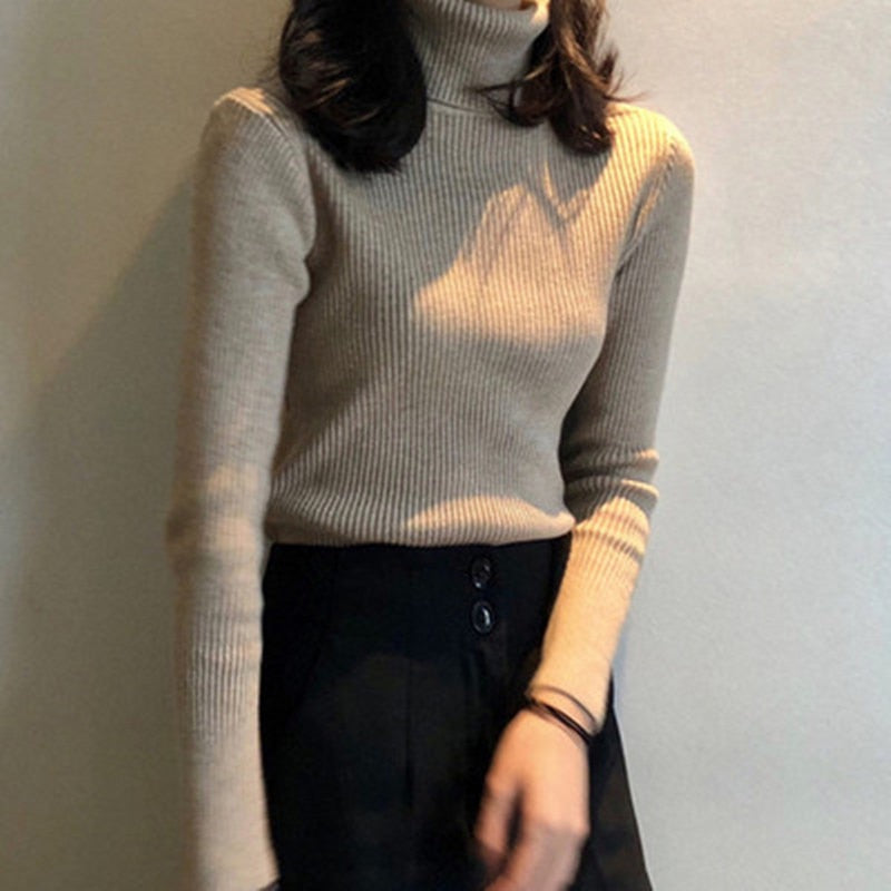 Elegant Turtleneck Women's Sweater